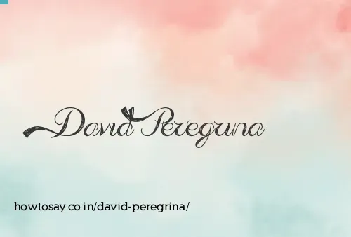 David Peregrina