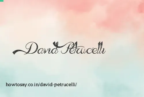 David Petrucelli