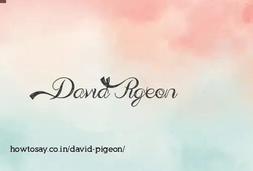 David Pigeon