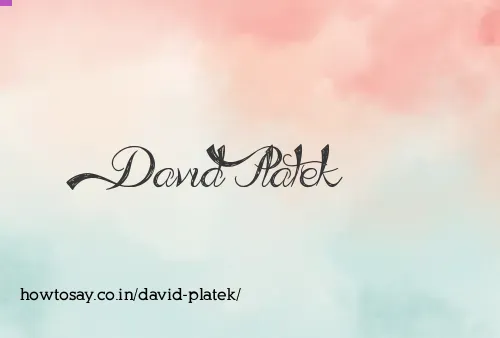 David Platek