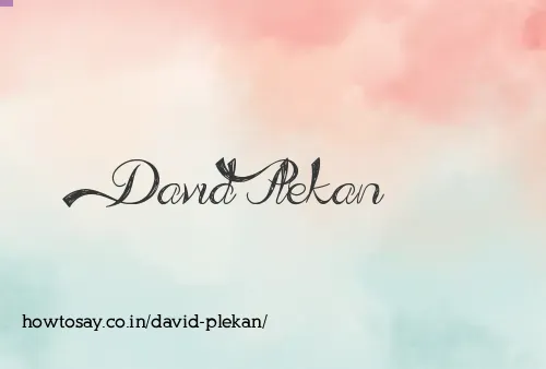 David Plekan