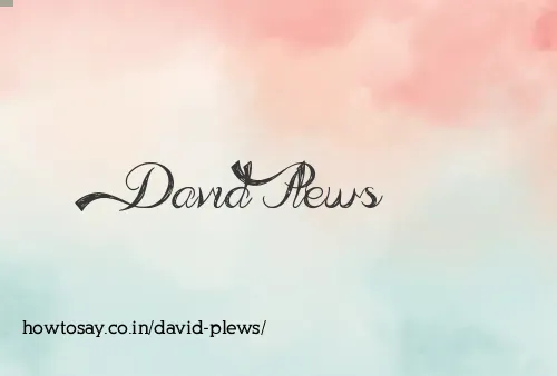 David Plews