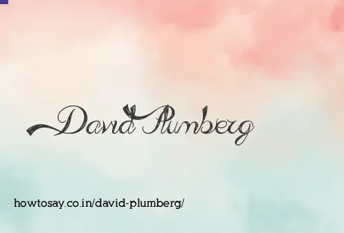 David Plumberg
