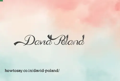 David Poland