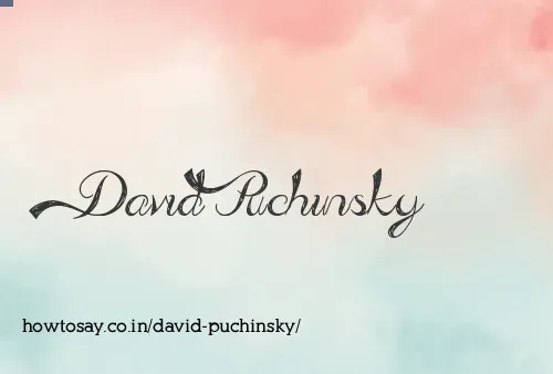 David Puchinsky