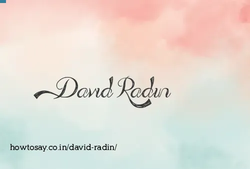David Radin