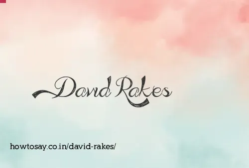 David Rakes