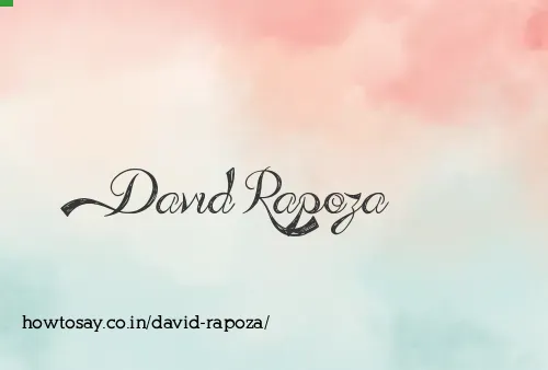 David Rapoza