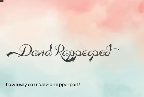 David Rapperport