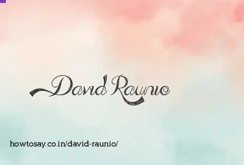 David Raunio