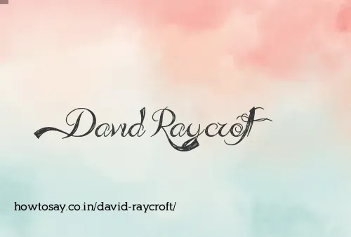 David Raycroft