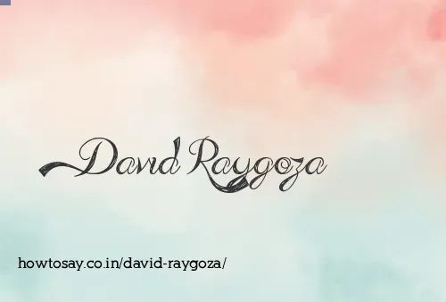 David Raygoza