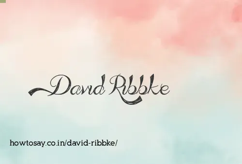 David Ribbke