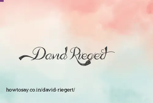 David Riegert