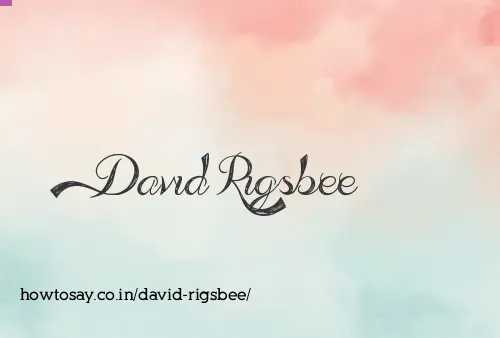 David Rigsbee