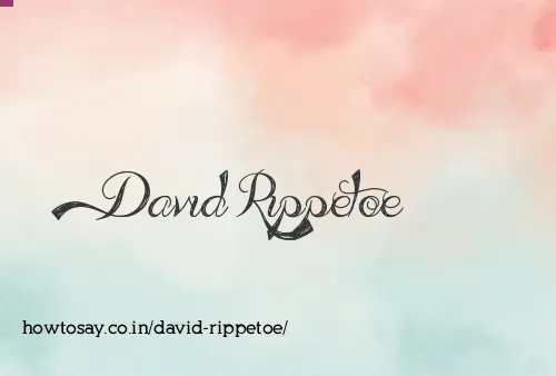David Rippetoe