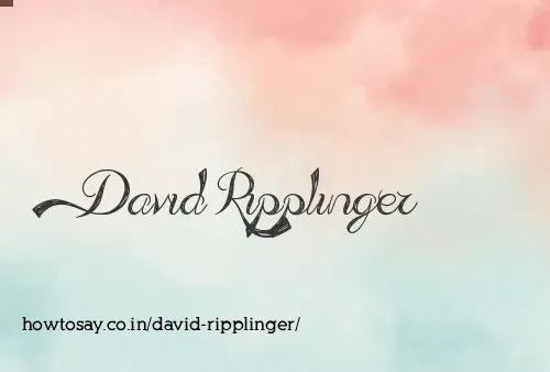 David Ripplinger