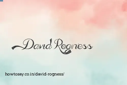 David Rogness