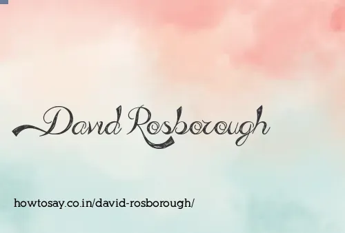David Rosborough