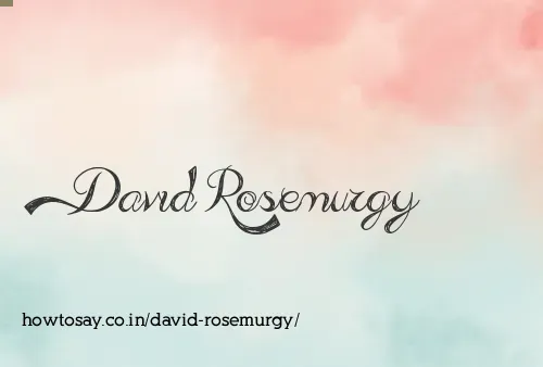 David Rosemurgy
