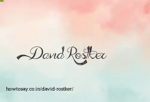 David Rostker
