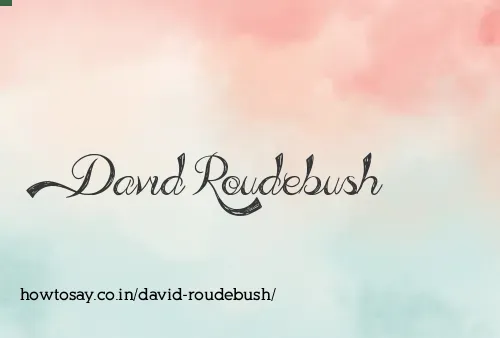 David Roudebush
