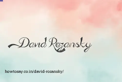 David Rozansky
