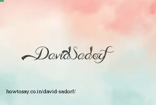 David Sadorf