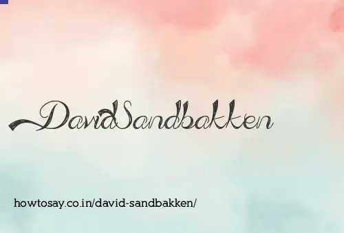 David Sandbakken