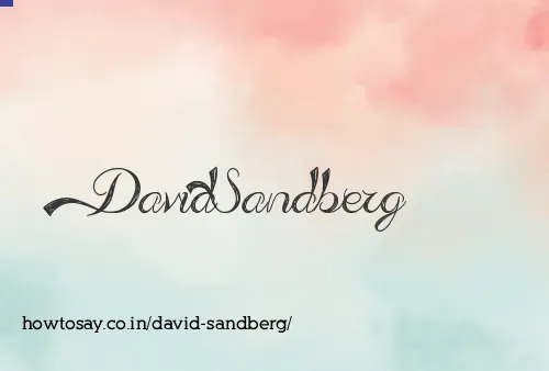 David Sandberg