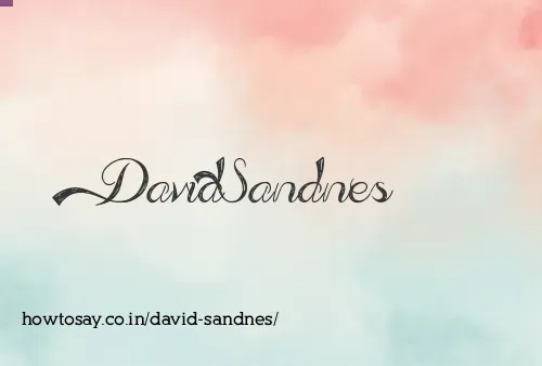 David Sandnes