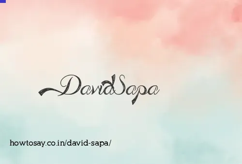 David Sapa