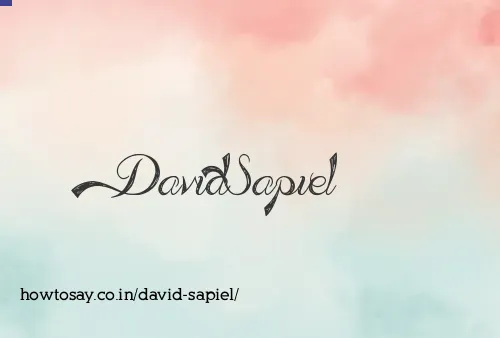 David Sapiel