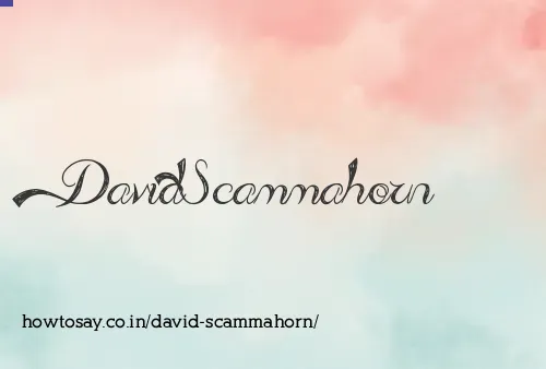 David Scammahorn