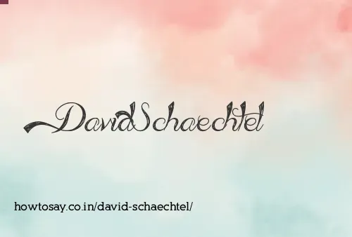 David Schaechtel