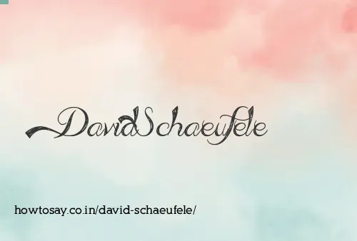 David Schaeufele