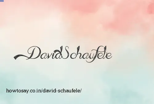 David Schaufele