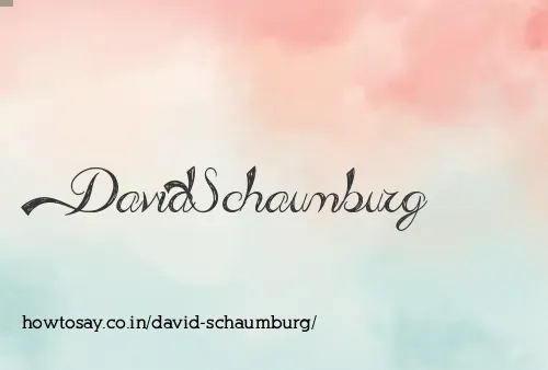 David Schaumburg