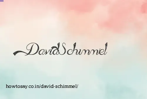 David Schimmel