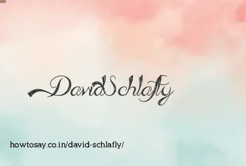 David Schlafly