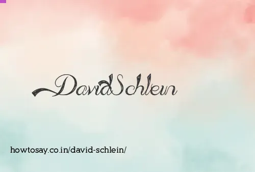 David Schlein