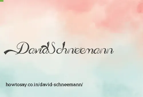 David Schneemann