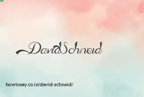 David Schneid
