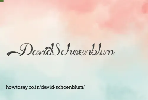 David Schoenblum