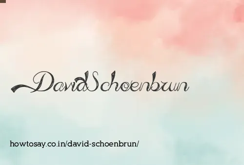 David Schoenbrun