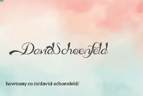 David Schoenfeld