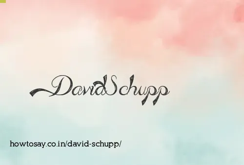 David Schupp