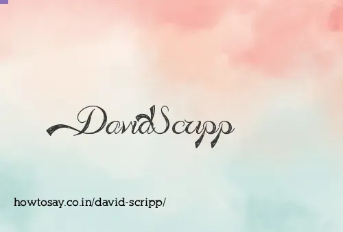 David Scripp