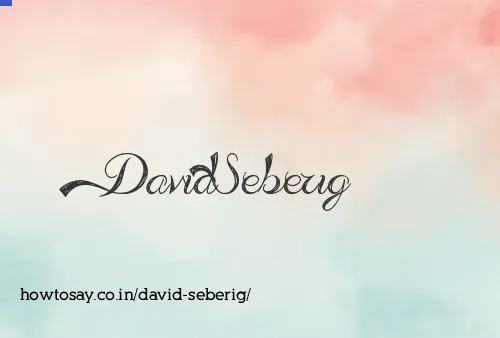 David Seberig