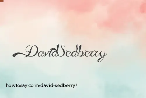 David Sedberry